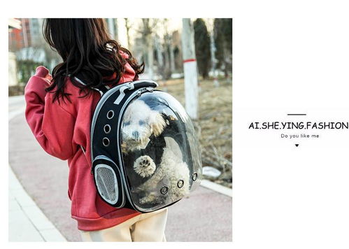 便攜透明寵物背包 湯河店太空貓包艙，出行新選擇